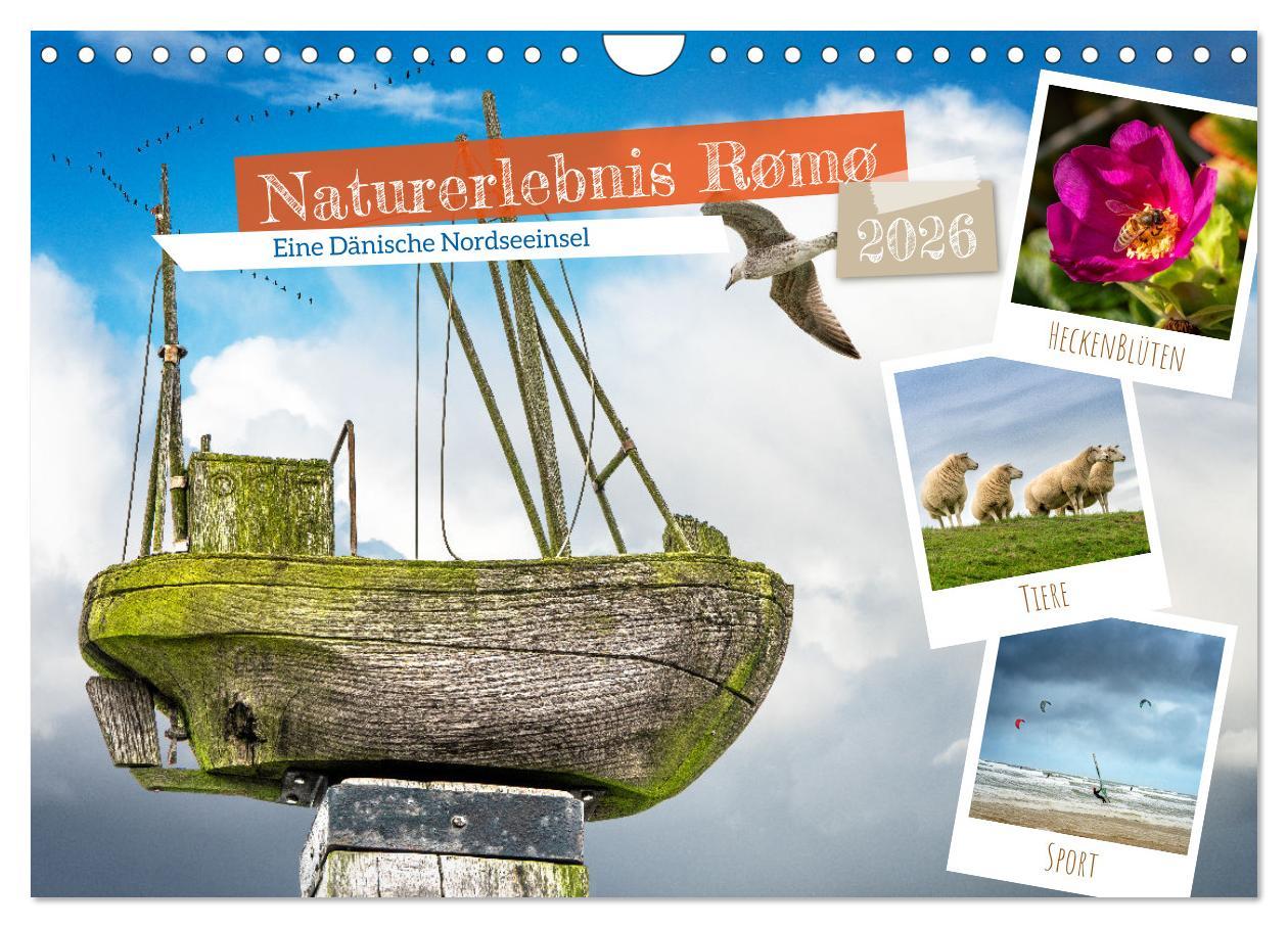 Kalendár/Diár Naturerlebnis R?m? (Wandkalender 2026 DIN A4 quer), CALVENDO Monatskalender Calvendo