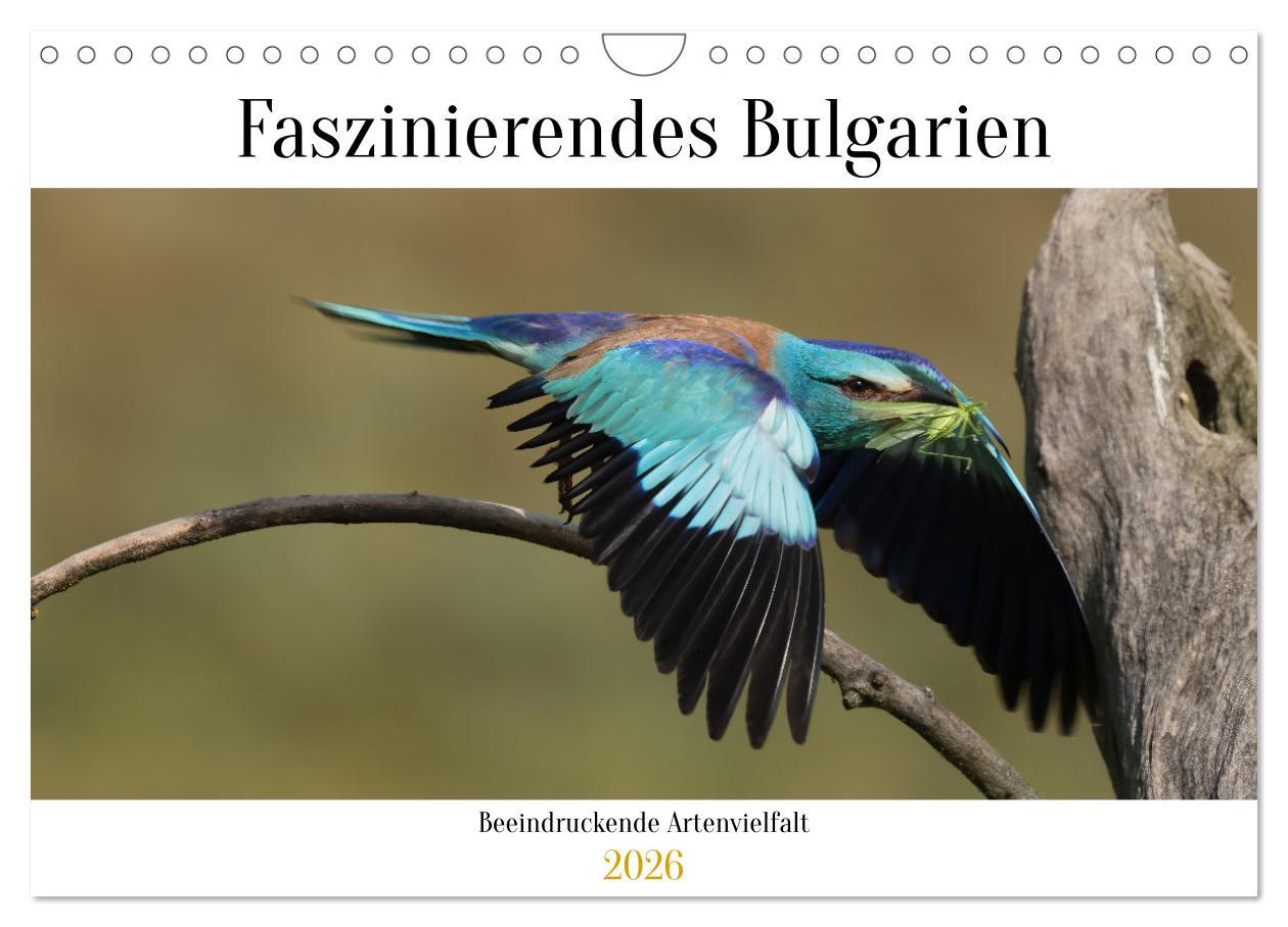Kalendář/Diář Faszinierendes Bulgarien (Wandkalender 2026 DIN A4 quer), CALVENDO Monatskalender Calvendo