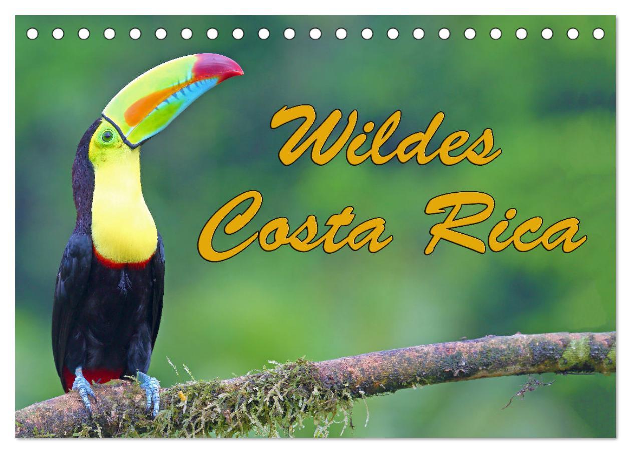 Kalendár/Diár Wildes Costa Rica (Tischkalender 2026 DIN A5 quer), CALVENDO Monatskalender Calvendo
