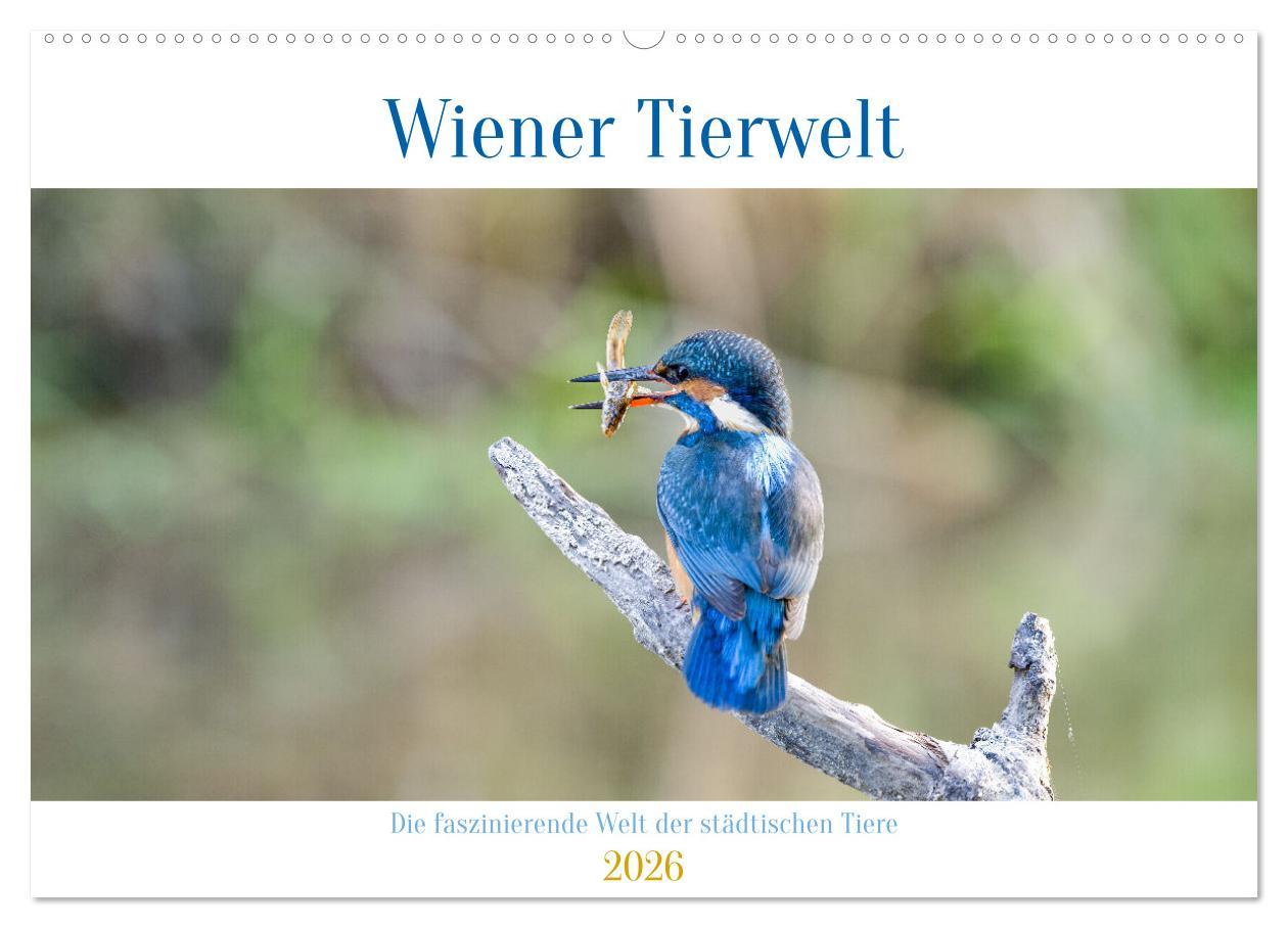 Kalendář/Diář Wiener Tierwelt (Wandkalender 2026 DIN A2 quer), CALVENDO Monatskalender Calvendo