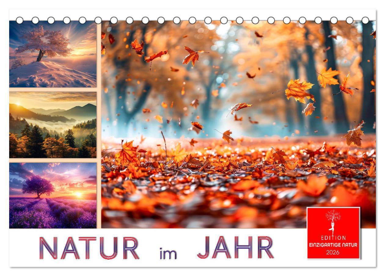 Kalendář/Diář Natur im Jahr (Tischkalender 2026 DIN A5 quer), CALVENDO Monatskalender Calvendo