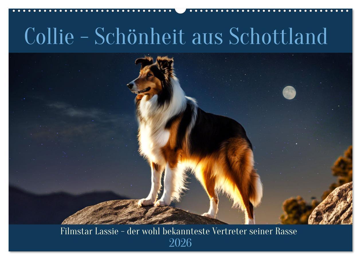Kalendář/Diář Traumhund Collie (Wandkalender 2026 DIN A2 quer), CALVENDO Monatskalender Calvendo
