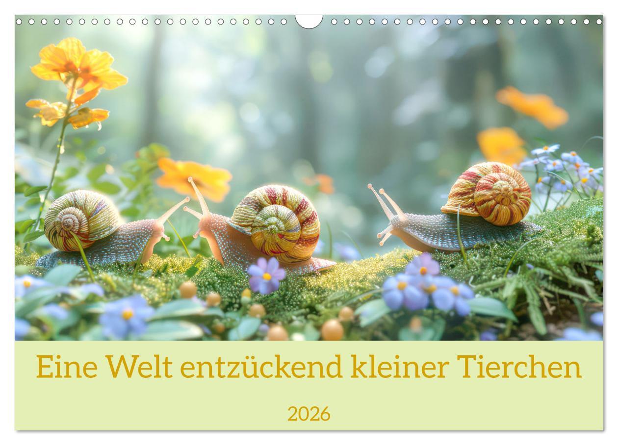 Kalendář/Diář Eine Welt entzückend kleiner Tierchen (Wandkalender 2026 DIN A3 quer), CALVENDO Monatskalender Calvendo