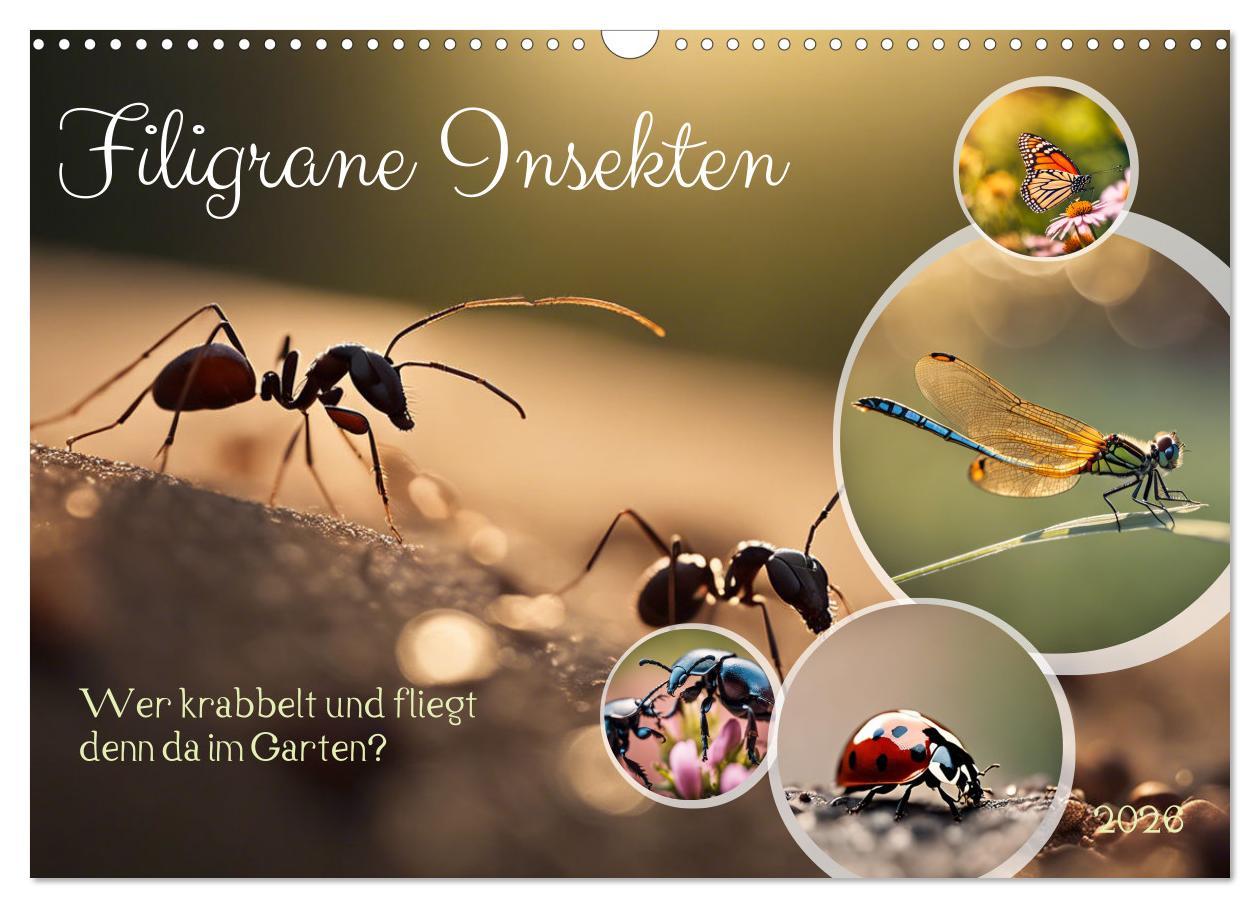 Kalendár/Diár Filigrane Insekten (Wandkalender 2026 DIN A3 quer), CALVENDO Monatskalender Calvendo