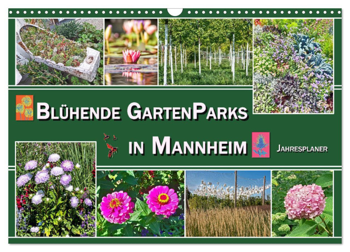 Kalendář/Diář Blühende Gartenparks in Mannheim (Wandkalender 2026 DIN A3 quer), CALVENDO Monatskalender Calvendo