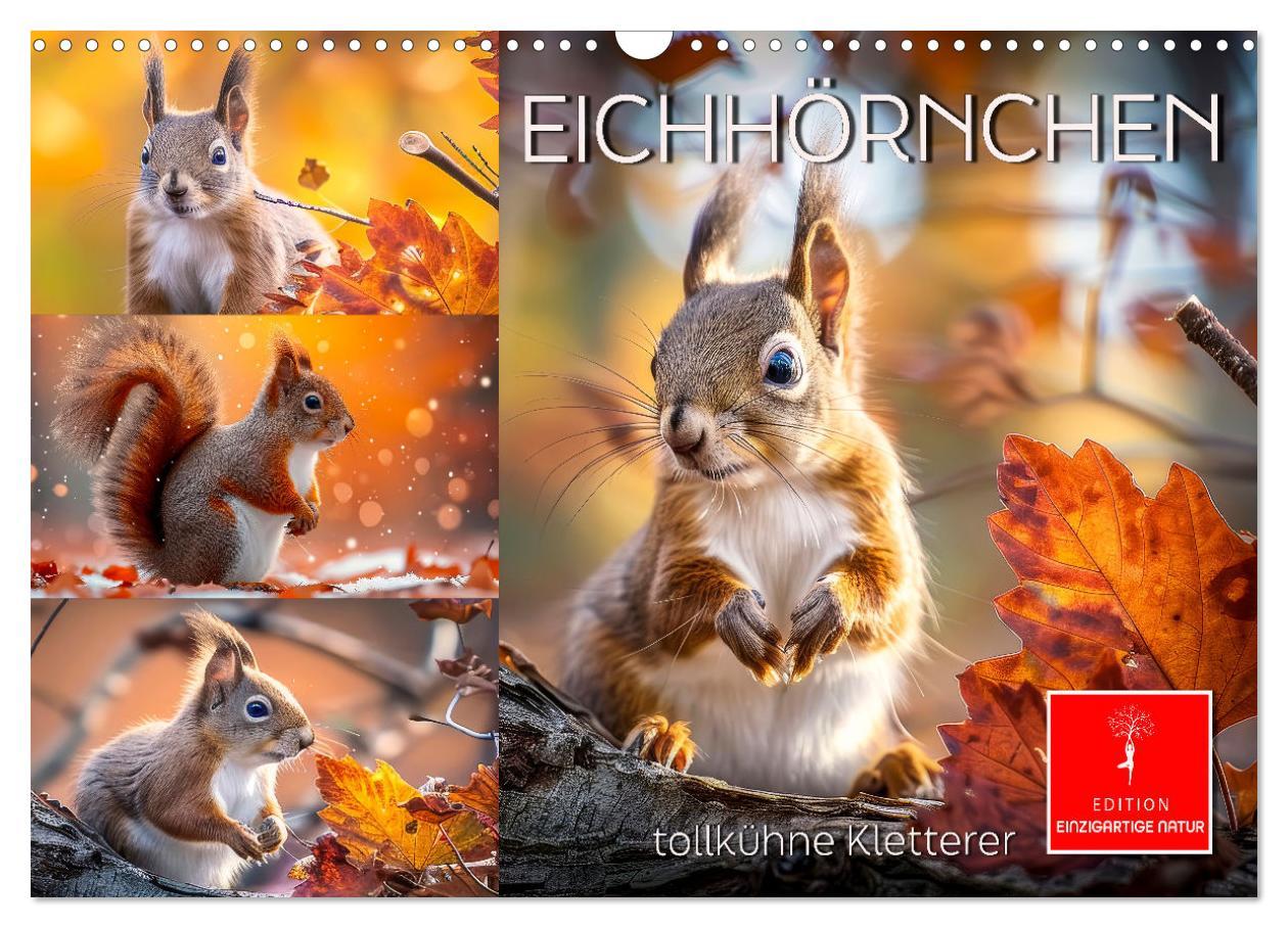 Kalendář/Diář Eichhörnchen - tollkühne Kletterer (Wandkalender 2026 DIN A3 quer), CALVENDO Monatskalender Calvendo