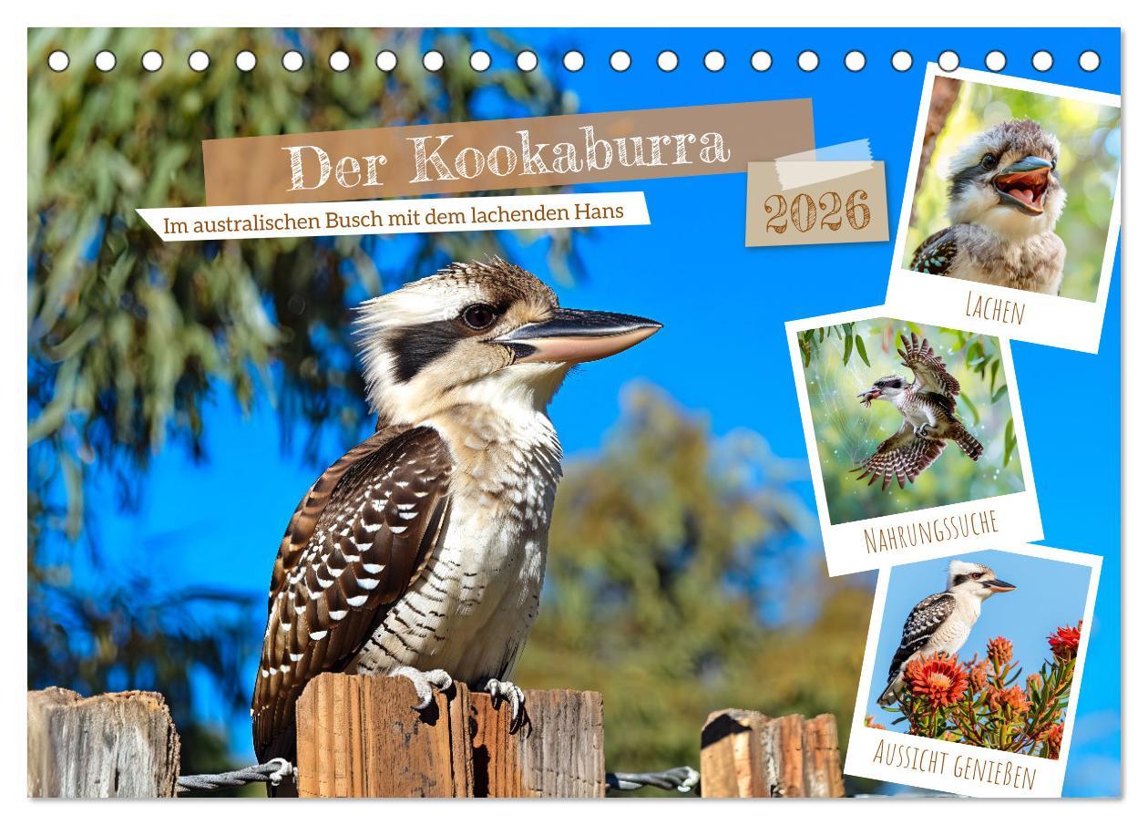Kalendár/Diár Der Kookaburra - Im australischen Busch mit dem lachenden Hans (Tischkalender 2026 DIN A5 quer), CALVENDO Monatskalender Calvendo