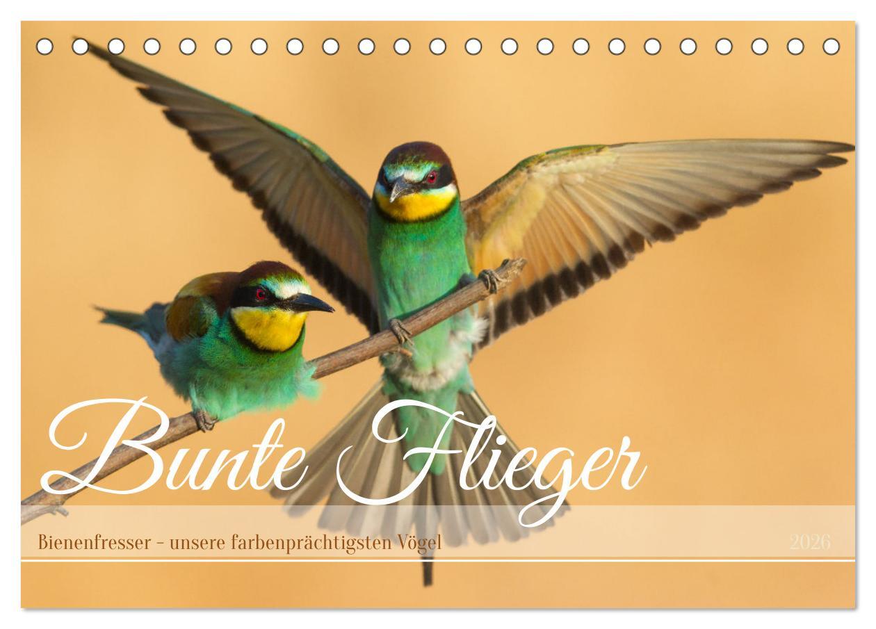 Calendario/Diario Bunte Flieger (Tischkalender 2026 DIN A5 quer), CALVENDO Monatskalender Calvendo