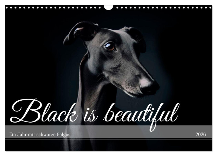 Kalendář/Diář Black is beautiful (Wandkalender 2026 DIN A3 quer), CALVENDO Monatskalender Calvendo