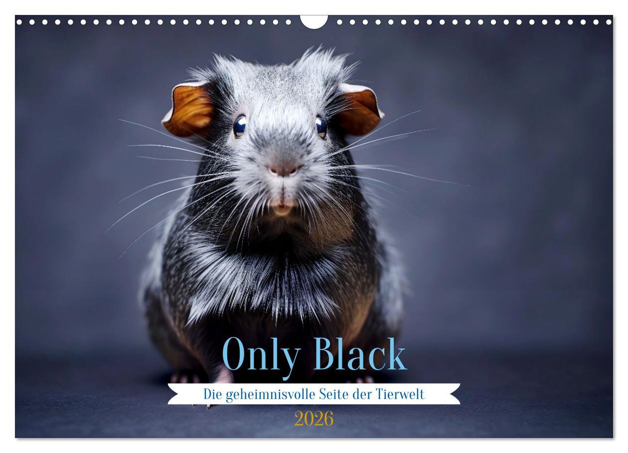 Kalendár/Diár Only Black (Wandkalender 2026 DIN A3 quer), CALVENDO Monatskalender Calvendo