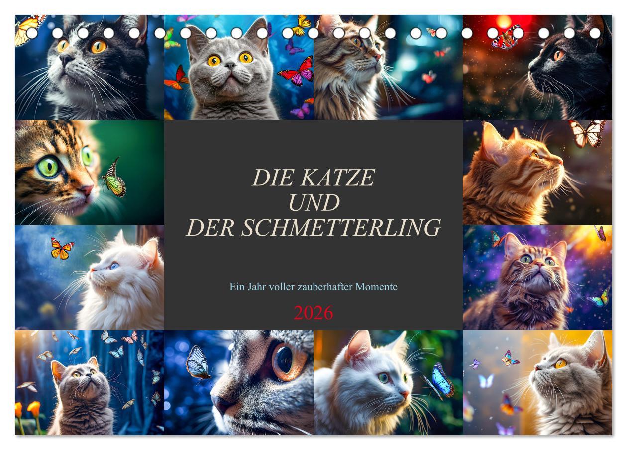 Kalendár/Diár Die Katze und der Schmetterling (Tischkalender 2026 DIN A5 quer), CALVENDO Monatskalender Calvendo