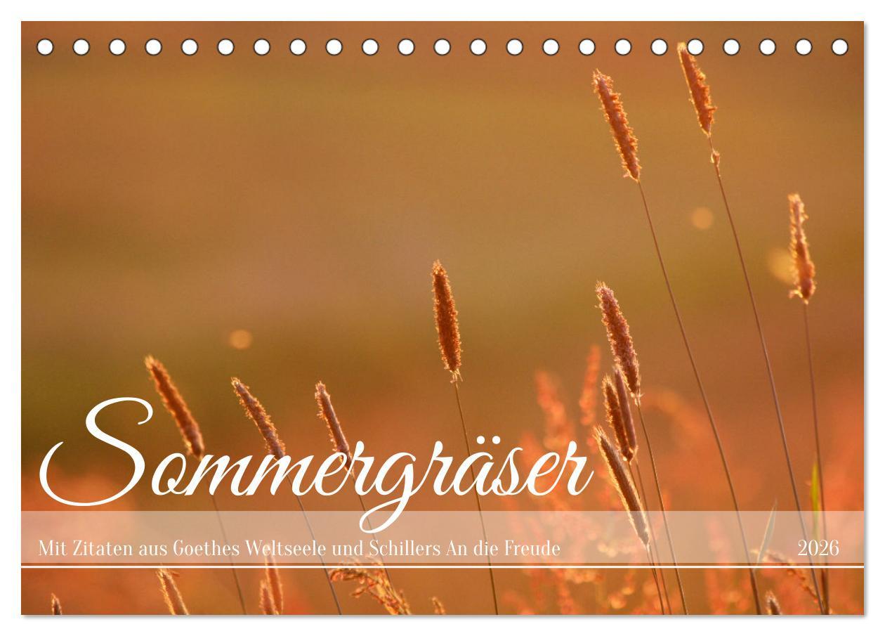 Kalendár/Diár Sommergräser (Tischkalender 2026 DIN A5 quer), CALVENDO Monatskalender Calvendo