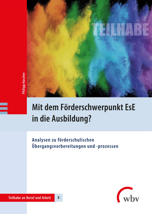 Kniha Mit dem Förderschwerpunkt EsE in die Ausbildung? 