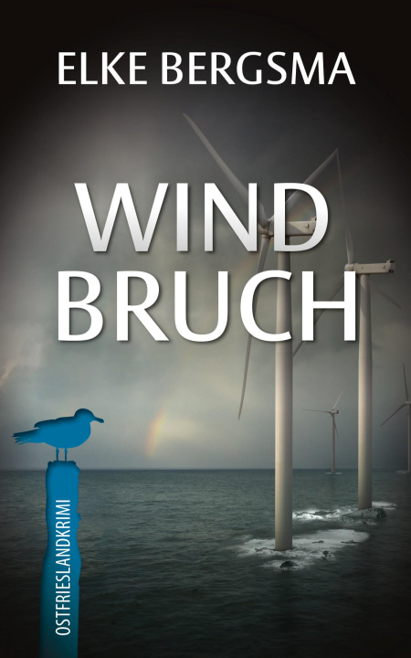 Kniha Windbruch Elke Bergsma
