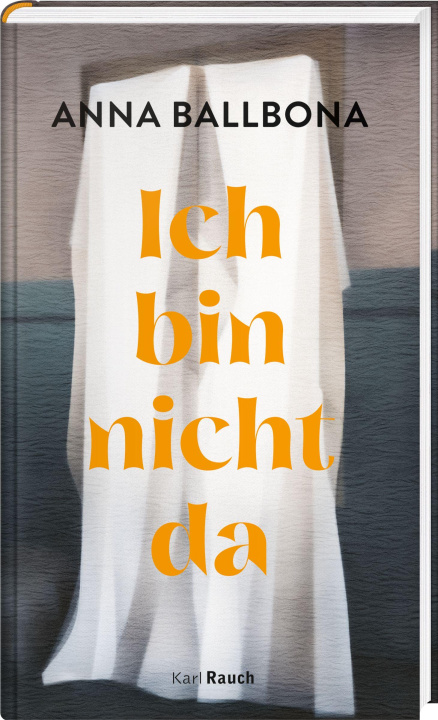 Buch Ich bin nicht da Kirsten Brandt
