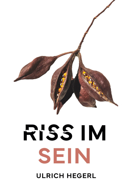 Kniha Riss im Sein Ulrich Hegerl