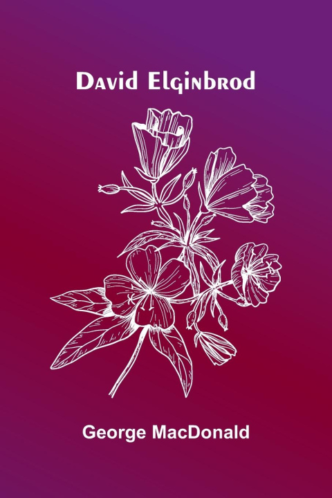 Kniha David Elginbrod George MacDonald