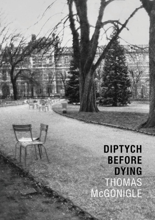 Kniha Diptych Before Dying 