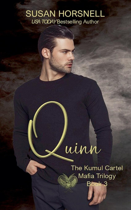 Kniha Quinn Susan Horsnell