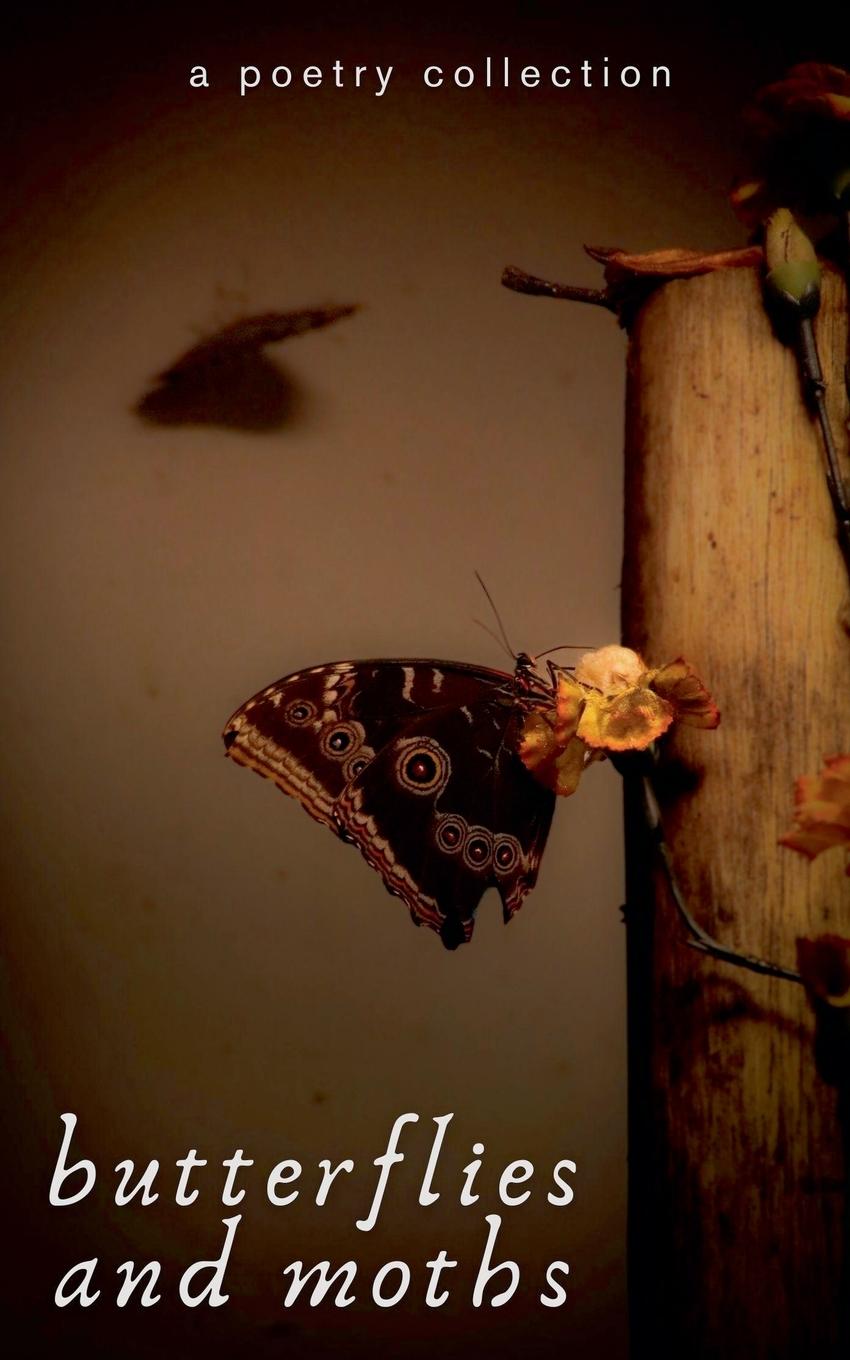 Kniha Butterflies and Moths 