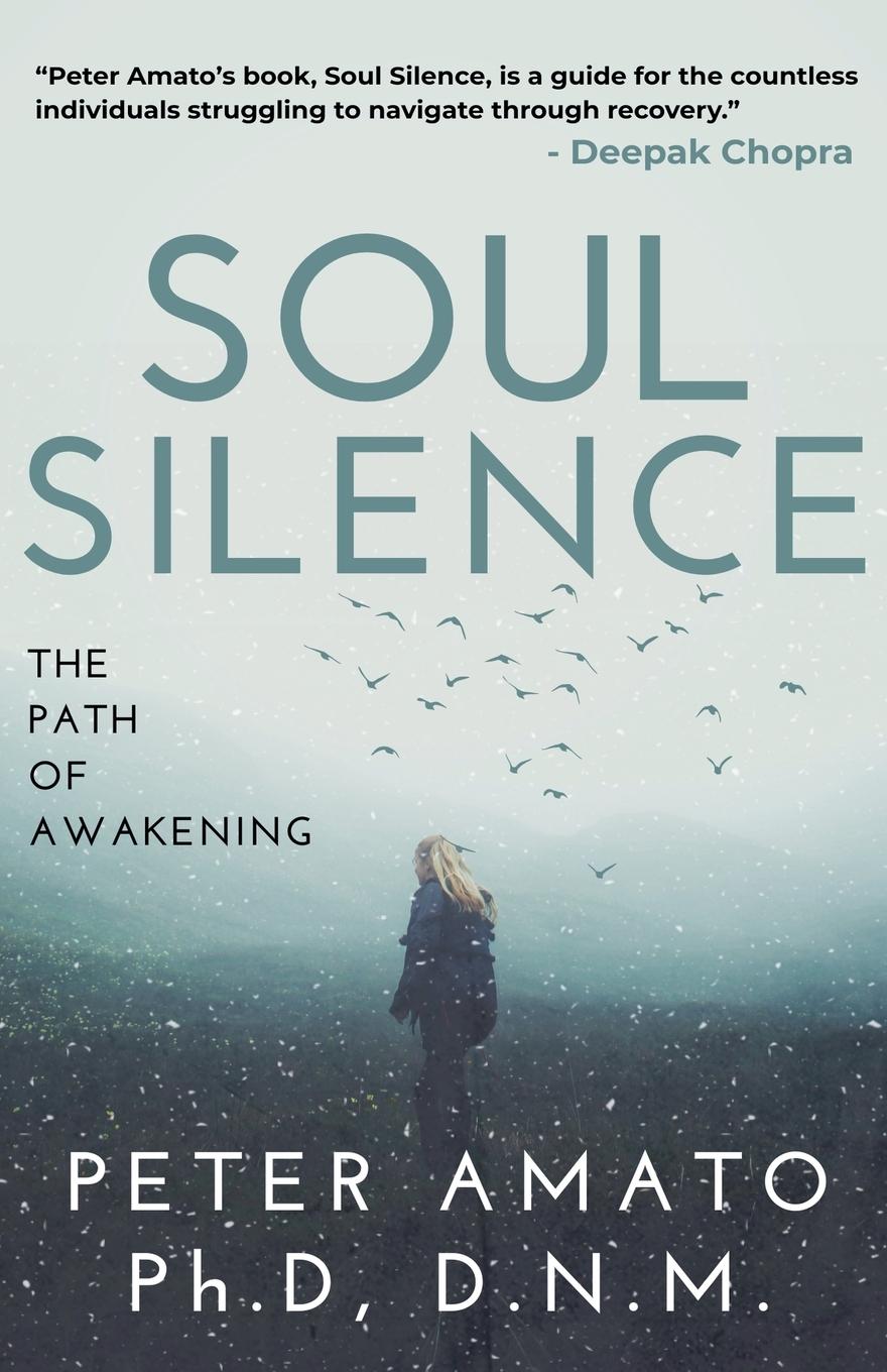 Kniha Soul Silence Peter Amato PH. D DNM