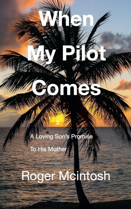 Kniha When My Pilot Comes 
