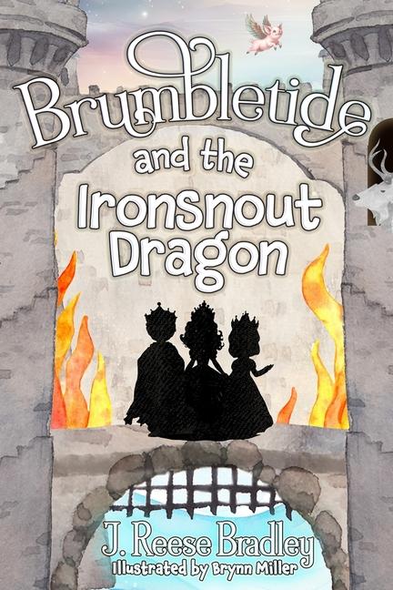Kniha Brumbletide and the Ironsnout Dragon 