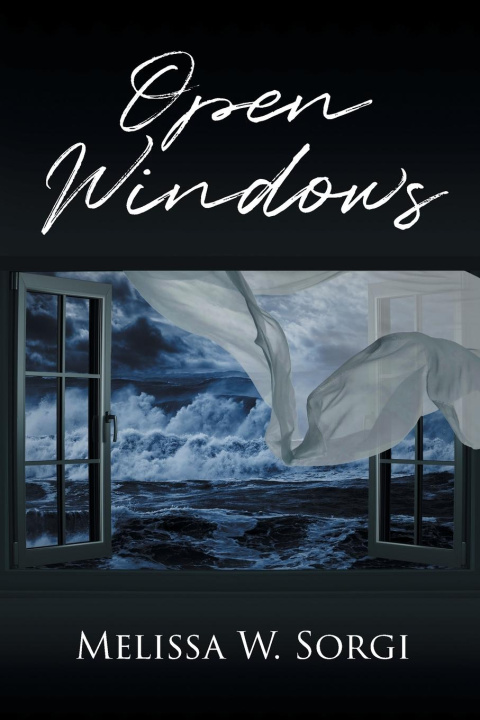 Kniha Open Windows Melissa W. Sorgi