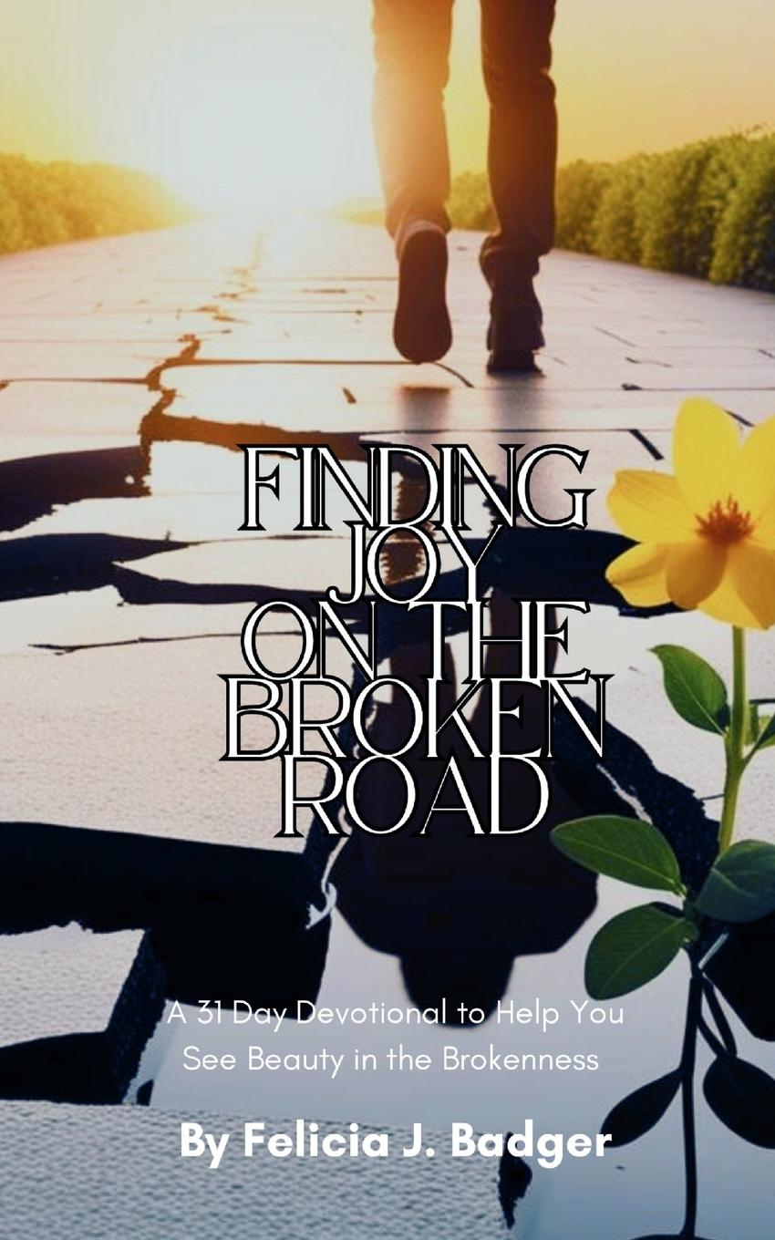 Kniha Finding Joy on the Broken Road Carol Medders