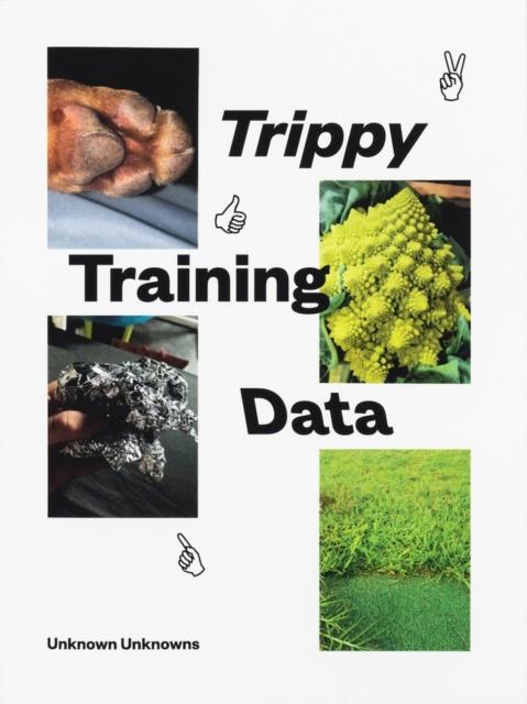Kniha Trippy Training Data Angie Waller