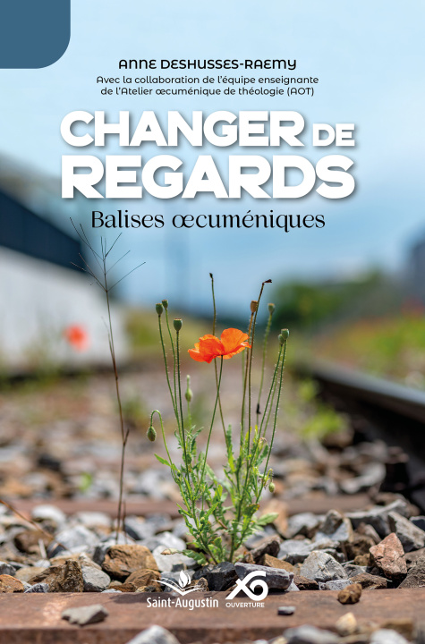 Kniha Changer de regards Anne Deshusses-Raemy