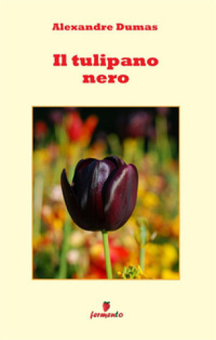 Kniha tulipano nero Alexander Dumas
