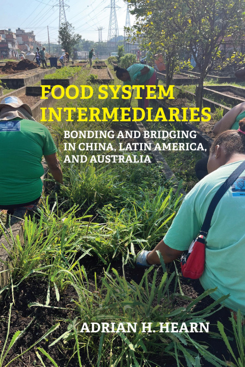 Kniha FOOD SYSTEM INTERMEDIARIES HEARN ADRIAN