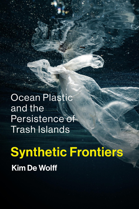 Buch SYNTHETIC FRONTIERS DE WOLFF KIM