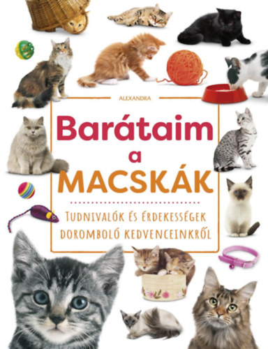 Βιβλίο Barátaim, a macskák 