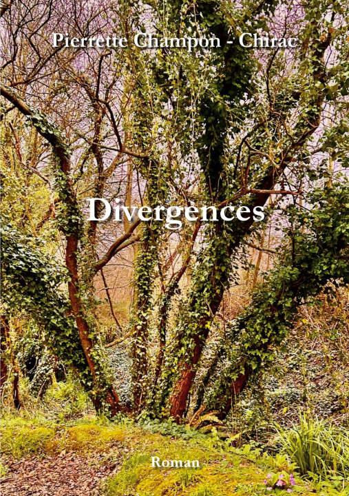 Kniha DIVERGENCES CHAMPON - CHIRAC PIERRETTE