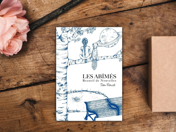 Boek Les Abîmés Poncet