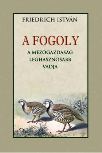 Kniha A fogoly Friedrich István
