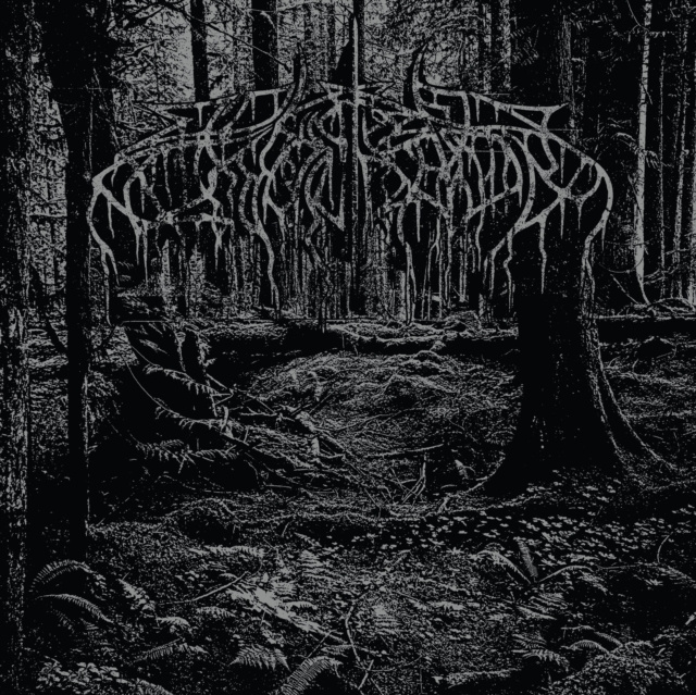 Audio 2005 Demo Wolves in the Throne Room