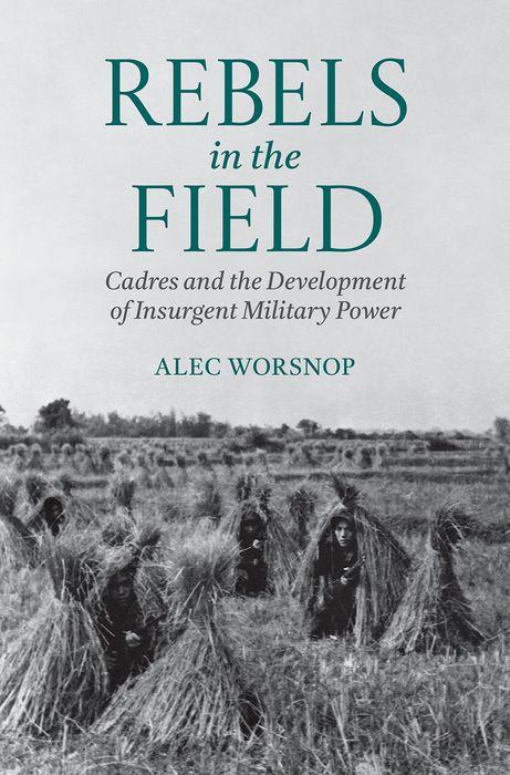 Kniha Rebels in the Field Worsnop