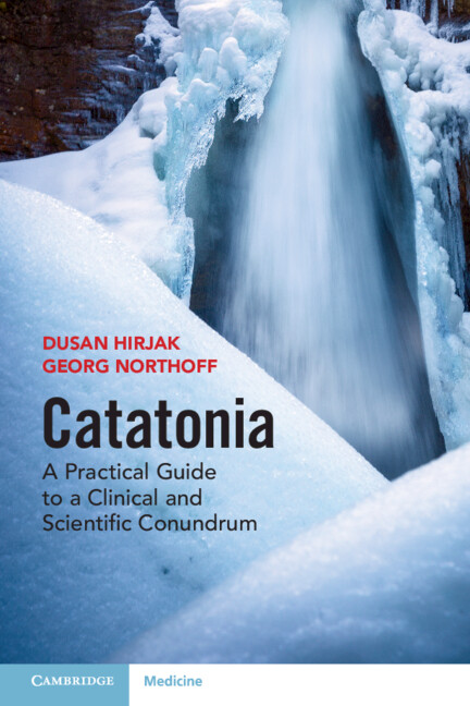 Boek Catatonia Georg Northoff