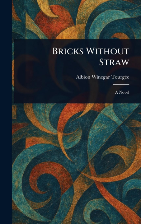 Kniha Bricks Without Straw 