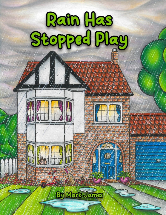 Kniha Rain has stopped play 