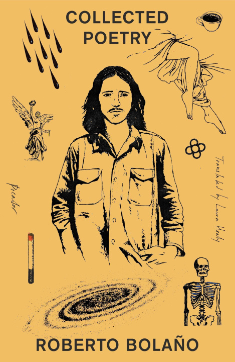 Kniha Collected Poetry Laura Healy