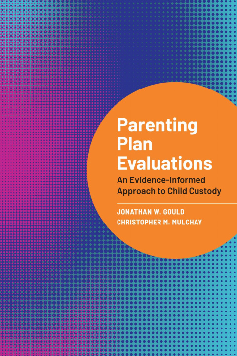 Kniha Parenting Plan Evaluations Christopher M Mulchay