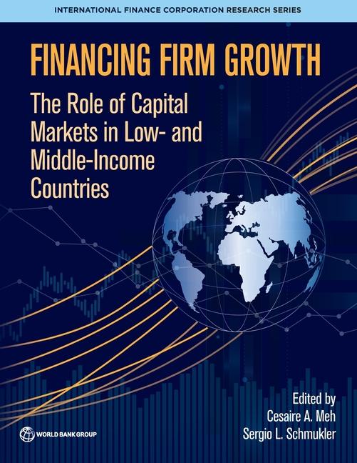 Kniha Financing Firm Growth Sergio L Schmukler