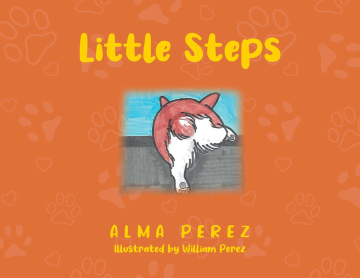Kniha Little Steps 