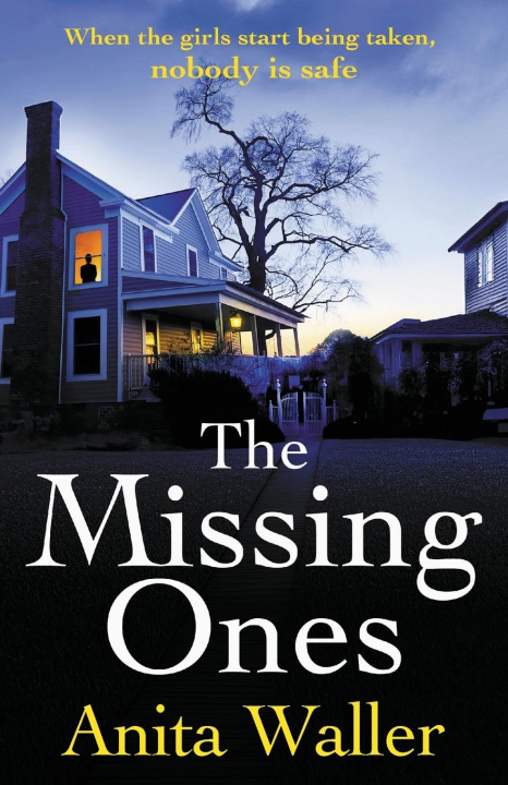 Kniha The Missing Ones Anita Waller