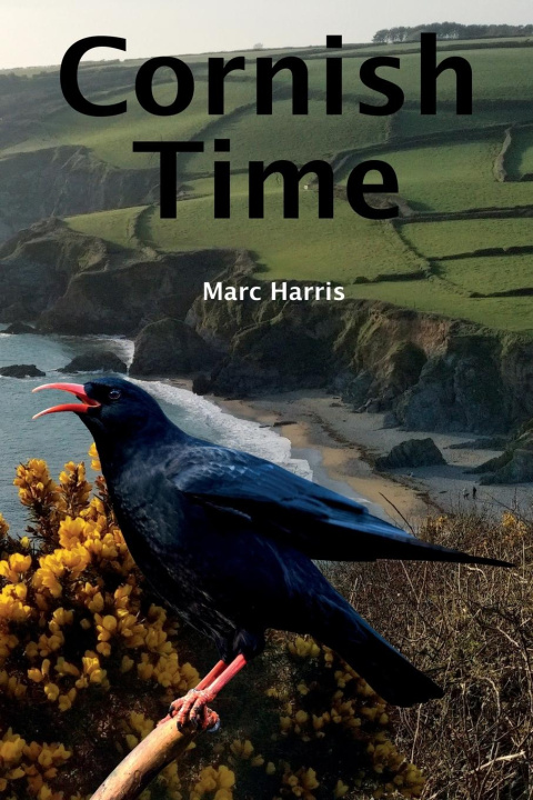 Kniha Cornish Time 