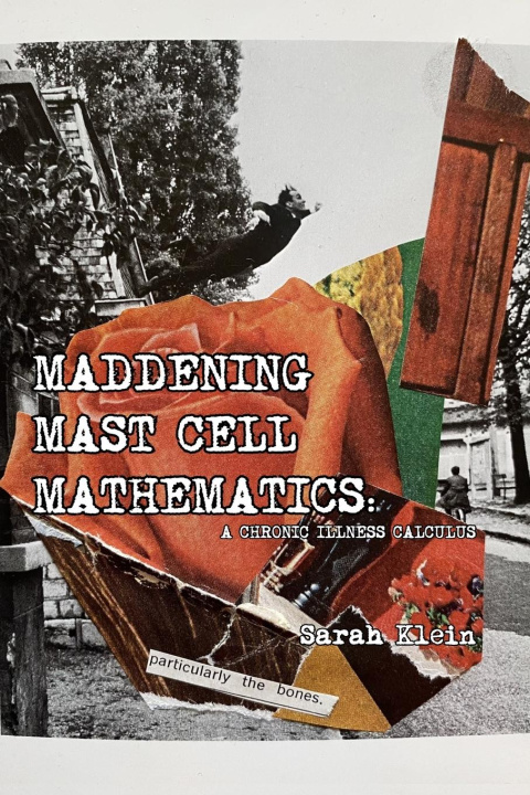 Kniha Maddening Mast Cell Mathematics 